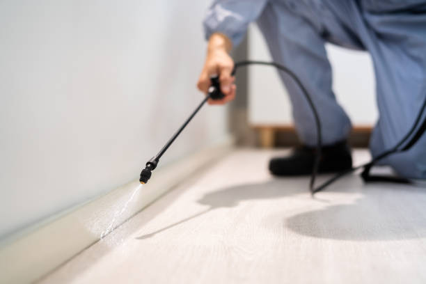 Licensed Bed Bug Control service in Bristol city County, VA - Nex Pest Control